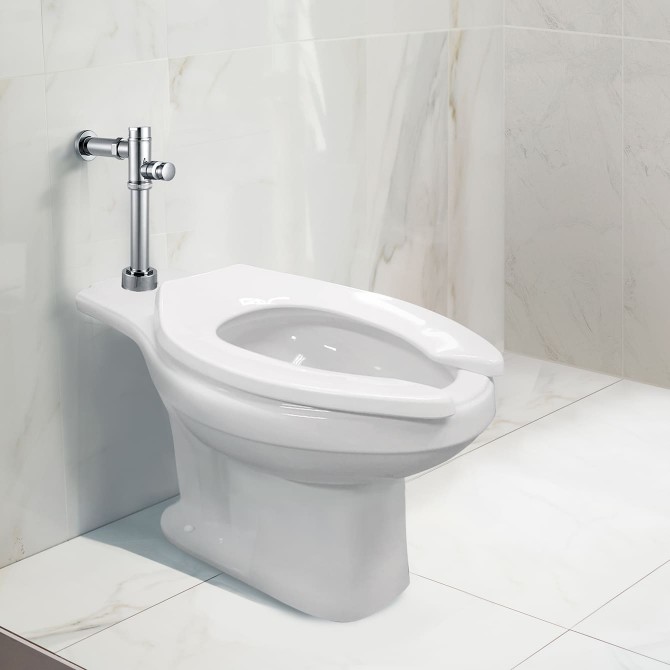 Fluxómetro mecánico para inodoro botón directo 23007000  VAINSA